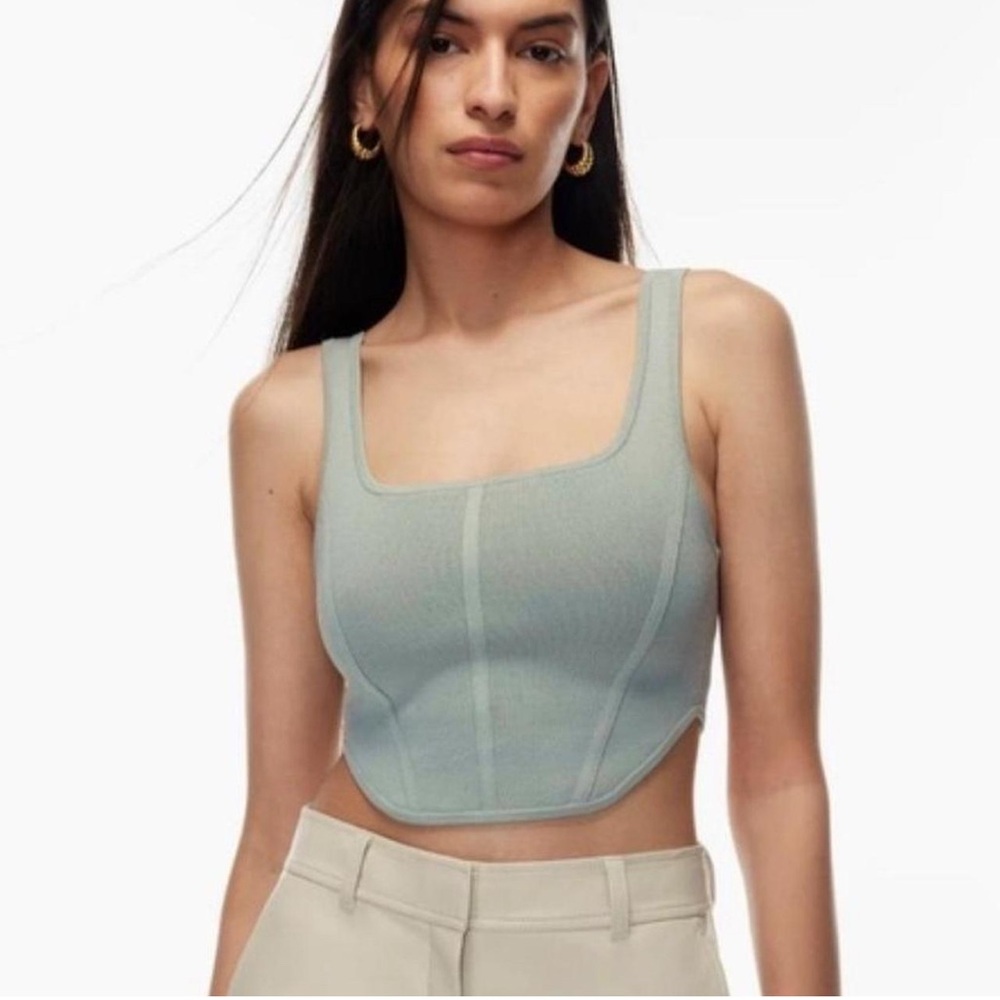 Aritzia Babaton sculpted knit bustier, blue, size xs in perfect condition